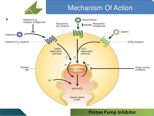 Ppi Proton Inhibitor proton inhibitor Ppi Proton Inhibitor proton inhibitor