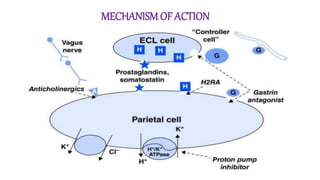 MECHANISM OF ACTION
 