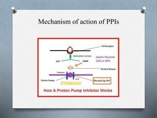 Mechanism of action of PPIs
 