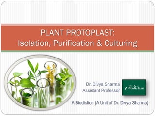 PLANT PROTOPLAST:
Isolation, Purification & Culturing
Dr. Divya Sharma
Assistant Professor
A Biodiction (A Unit of Dr. Divya Sharma)
 