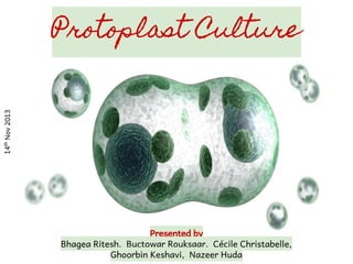 Protoplast Culture
Presented by
Bhagea Ritesh, Buctowar Rouksaar, Cécile Christabelle,
Ghoorbin Keshavi, Nazeer Huda
14th
Nov2013
 