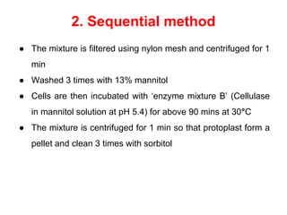 2. Sequential method
● The mixture is filtered using nylon mesh and centrifuged for 1
min
● Washed 3 times with 13% mannitol
● Cells are then incubated with ‘enzyme mixture B’ (Cellulase
in mannitol solution at pH 5.4) for above 90 mins at 30°C
● The mixture is centrifuged for 1 min so that protoplast form a
pellet and clean 3 times with sorbitol
 