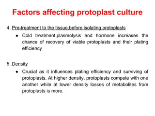 Factors affecting protoplast culture
4. Pre-treatment to the tissue,before isolating protoplasts
● Cold treatment,plasmolysis and hormone increases the
chance of recovery of viable protoplasts and their plating
efficiency
5. Density
● Crucial as it influences plating efficiency and surviving of
protoplasts. At higher density, protoplasts compete with one
another while at lower density losses of metabolites from
protoplasts is more.
 