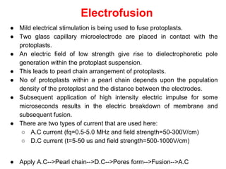 Electrofusion
● Mild electrical stimulation is being used to fuse protoplasts.
● Two glass capillary microelectrode are placed in contact with the
protoplasts.
● An electric field of low strength give rise to dielectrophoretic pole
generation within the protoplast suspension.
● This leads to pearl chain arrangement of protoplasts.
● No of protoplasts within a pearl chain depends upon the population
density of the protoplast and the distance between the electrodes.
● Subsequent application of high intensity electric impulse for some
microseconds results in the electric breakdown of membrane and
subsequent fusion.
● There are two types of current that are used here:
○ A.C current (fq=0.5-5.0 MHz and field strength=50-300V/cm)
○ D.C current (t=5-50 us and field strength=500-1000V/cm)
● Apply A.C-->Pearl chain-->D.C-->Pores form-->Fusion-->A.C
 