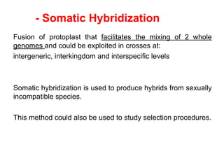 - Somatic Hybridization
Fusion of protoplast that facilitates the mixing of 2 whole
genomes and could be exploited in crosses at:
intergeneric, interkingdom and interspecific levels
Somatic hybridization is used to produce hybrids from sexually
incompatible species.
This method could also be used to study selection procedures.
 