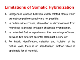 Limitations of Somatic Hybridization
1. Intergeneric crosses between widely related plants which
are not compatible sexually are not possible.
2. In certain wide crosses, elimination of chromosomes from
hybrid cell is another limitation of somatic hybridisation.
3. In protoplast fusion experiments, the percentage of fusion
between two different parental protoplast is very low.
4. For hybrid identification, selection and isolation at the
culture level, there is no standardized method which is
applicable for all material.
 