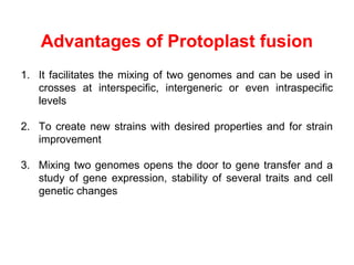 Advantages of Protoplast fusion
1. It facilitates the mixing of two genomes and can be used in
crosses at interspecific, intergeneric or even intraspecific
levels
2. To create new strains with desired properties and for strain
improvement
3. Mixing two genomes opens the door to gene transfer and a
study of gene expression, stability of several traits and cell
genetic changes
 