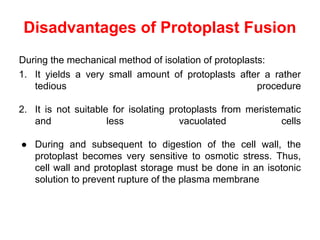 Disadvantages of Protoplast Fusion
During the mechanical method of isolation of protoplasts:
1. It yields a very small amount of protoplasts after a rather
tedious procedure
2. It is not suitable for isolating protoplasts from meristematic
and less vacuolated cells
● During and subsequent to digestion of the cell wall, the
protoplast becomes very sensitive to osmotic stress. Thus,
cell wall and protoplast storage must be done in an isotonic
solution to prevent rupture of the plasma membrane
 