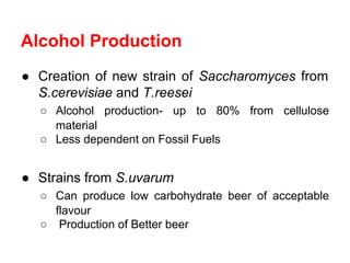 Alcohol Production
● Creation of new strain of Saccharomyces from
S.cerevisiae and T.reesei
○ Alcohol production- up to 80% from cellulose
material
○ Less dependent on Fossil Fuels
● Strains from S.uvarum
○ Can produce low carbohydrate beer of acceptable
flavour
○ Production of Better beer
 