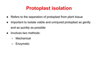 Protoplast isolation
● Refers to the separation of protoplast from plant tissue
● Important to isolate viable and uninjured protoplast as gently
and as quickly as possible
● Involves two methods:
○ Mechanical
○ Enzymatic
 
