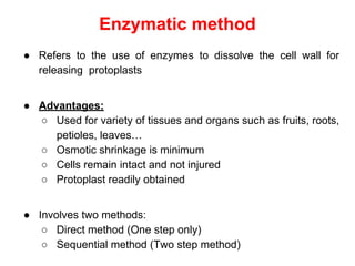 Enzymatic method
● Refers to the use of enzymes to dissolve the cell wall for
releasing protoplasts
● Advantages:
○ Used for variety of tissues and organs such as fruits, roots,
petioles, leaves…
○ Osmotic shrinkage is minimum
○ Cells remain intact and not injured
○ Protoplast readily obtained
● Involves two methods:
○ Direct method (One step only)
○ Sequential method (Two step method)
 
