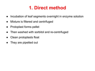 1. Direct method
● Incubation of leaf segments overnight in enzyme solution
● Mixture is filtered and centrifuged
● Protoplast forms pellet
● Then washed with sorbitol and re-centrifuged
● Clean protoplasts float
● They are pipetted out
 