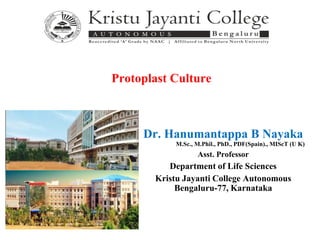Dr. Hanumantappa B Nayaka
M.Sc., M.Phil., PhD., PDF(Spain)., MIScT (U K)
Asst. Professor
Department of Life Sciences
Kristu Jayanti College Autonomous
Bengaluru-77, Karnataka
Protoplast Culture
 