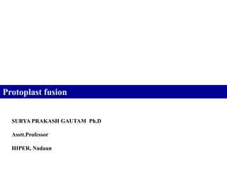 Protoplast fusion


  SURYA PRAKASH GAUTAM Ph.D

  Asstt.Professor

  HIPER, Nadaun
 