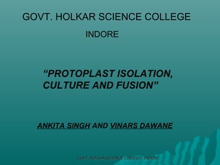 GOVT. HOLKAR SCIENCE COLLEGE
INDORE

“PROTOPLAST ISOLATION,
CULTURE AND FUSION”

ANKITA SINGH AND VINARS DAWANE

GOVT. HOLKAR SCIENCE COLLEGE, INDORE.

 