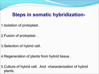 Steps in somatic hybridization-
1.Isolation of protoplast .
2.Fusion of protoplast .
3.Selection of hybrid cell.
4.Regeneration of plants from hybrid tissue .
5.Culture of hybrid cell. And characterization of hybrid
plants.
 