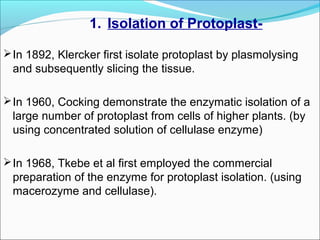 1. Isolation of Protoplast-
In 1892, Klercker first isolate protoplast by plasmolysing
and subsequently slicing the tissue.
In 1960, Cocking demonstrate the enzymatic isolation of a
large number of protoplast from cells of higher plants. (by
using concentrated solution of cellulase enzyme)
In 1968, Tkebe et al first employed the commercial
preparation of the enzyme for protoplast isolation. (using
macerozyme and cellulase).
 