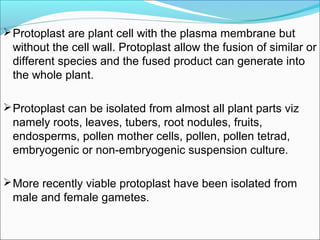 Protoplast are plant cell with the plasma membrane but
without the cell wall. Protoplast allow the fusion of similar or
different species and the fused product can generate into
the whole plant.
Protoplast can be isolated from almost all plant parts viz
namely roots, leaves, tubers, root nodules, fruits,
endosperms, pollen mother cells, pollen, pollen tetrad,
embryogenic or non-embryogenic suspension culture.
More recently viable protoplast have been isolated from
male and female gametes.
 