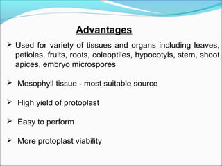 Advantages
 Used for variety of tissues and organs including leaves,
petioles, fruits, roots, coleoptiles, hypocotyls, stem, shoot
apices, embryo microspores
 Mesophyll tissue - most suitable source
 High yield of protoplast
 Easy to perform
 More protoplast viability
 