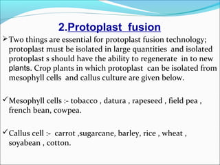 2.Protoplast fusion
Two things are essential for protoplast fusion technology;
protoplast must be isolated in large quantities and isolated
protoplast s should have the ability to regenerate in to new
plants. Crop plants in which protoplast can be isolated from
mesophyll cells and callus culture are given below.
Mesophyll cells :- tobacco , datura , rapeseed , field pea ,
french bean, cowpea.
Callus cell :- carrot ,sugarcane, barley, rice , wheat ,
soyabean , cotton.
 