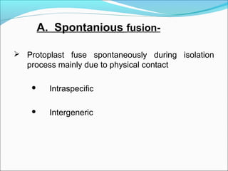 A. Spontanious fusion-
 Protoplast fuse spontaneously during isolation
process mainly due to physical contact
 Intraspecific
 Intergeneric
 
