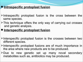 Intraspecific protoplast fusion
Intraspecific protoplast fusion is the cross between the
same species.
This technique offers the only way of carrying out crosses
and genetic analysis.
Interspecific protoplast fusion
Interspecific protoplast fusion is the crosses between two
different species.
Interspecific protoplast fusions are of much importance in
the area where new products are to be produced.
Due to new genetic set up many noval secondary
metabolites such as, antibiotics may be produced.
 