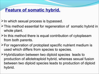Feature of somatic hybrid.
In which sexual process is bypassed.
This method essential for regeneration of somatic hybrid in
whole plant.
In this method there is equal contribution of cytoplasam
from both parents.
For regenration of protoplast specific nutrient medium is
used which differs from species to species.
Hybridization between two diploid species leads to
production of allotetraploid hybrid, whereas sexual fusion
between two diploid species leads to production of diploid
hybrid.
 