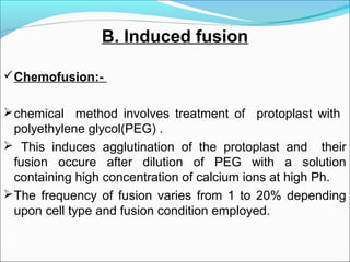 B. Induced fusion
Chemofusion:-
chemical method involves treatment of protoplast with
polyethylene glycol(PEG) .
 This induces agglutination of the protoplast and their
fusion occure after dilution of PEG with a solution
containing high concentration of calcium ions at high Ph.
The frequency of fusion varies from 1 to 20% depending
upon cell type and fusion condition employed.
 