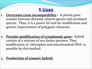 5.Uses
1. Overcome cross incompatibility:- it permit gene
transfer between distantly related species and unrelated
species . Thus, it is a power ful tool for modification and
genetic improvement of polygenic character.
2. Permits modification of cytoplasmic gene:- hybrid
contain of a mixture of two fusion partners. Thus
modification of chloroplast and mitochondrial DNA is
possible by this method.
3. Production of somatic hybrid.
 