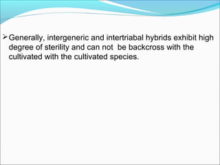 Generally, intergeneric and intertriabal hybrids exhibit high
degree of sterility and can not be backcross with the
cultivated with the cultivated species.
 