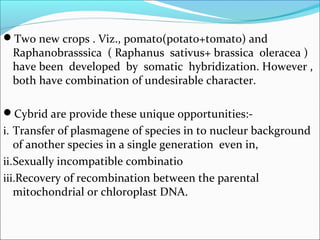 Two new crops . Viz., pomato(potato+tomato) and
Raphanobrasssica ( Raphanus sativus+ brassica oleracea )
have been developed by somatic hybridization. However ,
both have combination of undesirable character.
Cybrid are provide these unique opportunities:-
i. Transfer of plasmagene of species in to nucleur background
of another species in a single generation even in,
ii.Sexually incompatible combinatio
iii.Recovery of recombination between the parental
mitochondrial or chloroplast DNA.
 