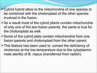 Cybrid hybrid allow to the mitochondria of one species to
be combined with the choloroplast of the other species
involved in the fusion.
As a result most of the cybrid plants contain mitochondria
of only one of the two fusion parents. the same is true for
the choloroplast as well.
Some of the cybrid plats contain mitochondria from one
fusion parents and choloroplast from the other parent.
This feature has been used to correct the deficiency of
cholorosis at the low temparature due to the cytoplasmic
male sterility of B. napus (transferred from radish).
 