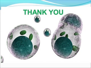 Protoplast isolation and fusion 