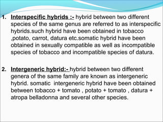 1. Interspecific hybrids :- hybrid between two different
species of the same genus are referred to as interspecific
hybrids.such hybrid have been obtained in tobacco
,potato, carrot, datura etc.somatic hybrid have been
obtained in sexually compatible as well as incompatible
species of tobacco and incompatible species of datura.
2. Intergeneric hybrid:- hybrid between two different
genera of the same family are known as intergeneric
hybrid. somatic intergeneric hybrid have been obtained
between tobacco + tomato , potato + tomato , datura +
atropa belladonna and several other species.
 