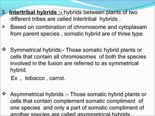 3. Intertribal hybrids :- hybrids between plants of two
different tribes are called Intertribal hybrids .
 Based on combination of chromosome and cytoplasam
from parent species , somatic hybrid are of three type.
 Symmetrical hybrids:- Those somatic hybrid plants or
cells that contain all chromosomes of both the species
involved in the fusion are referred to as symmetrical
hybrid.
Ex ., tobacco , carrot.
 Asymmetrical hybrids :- Those somatic hybrid plants or
cells that contain complement somatic compliment of
one species and only a part of somatic compliment of
 