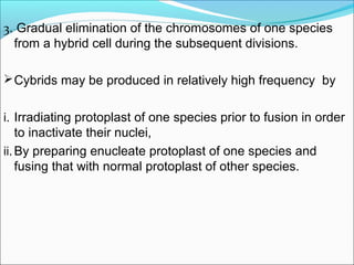 3. Gradual elimination of the chromosomes of one species
from a hybrid cell during the subsequent divisions.
Cybrids may be produced in relatively high frequency by
i. Irradiating protoplast of one species prior to fusion in order
to inactivate their nuclei,
ii.By preparing enucleate protoplast of one species and
fusing that with normal protoplast of other species.
 