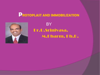 PROTOPLAST AND IMMOBILIZATION
            BY
       Dr.U.Srinivasa,
          M.Pharm, Ph.D.
 