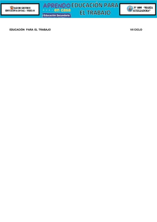 EDUCACIÓN PARA EL TRABAJO VII CICLO
 