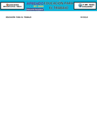 EDUCACIÓN PARA EL TRABAJO VII CICLO
 