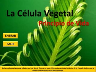 La Célula Vegetal
Principio de Vida
SALIR
Software Educativo desarrollado por Ing. Sayda Contreras para el Departamento de Botánica de la Escuela de Ingeniería
Forestal de la Universidad de Los Andes.
ENTRAR
 