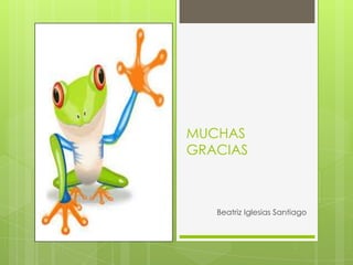 MUCHAS
GRACIAS
Beatriz Iglesias Santiago
 