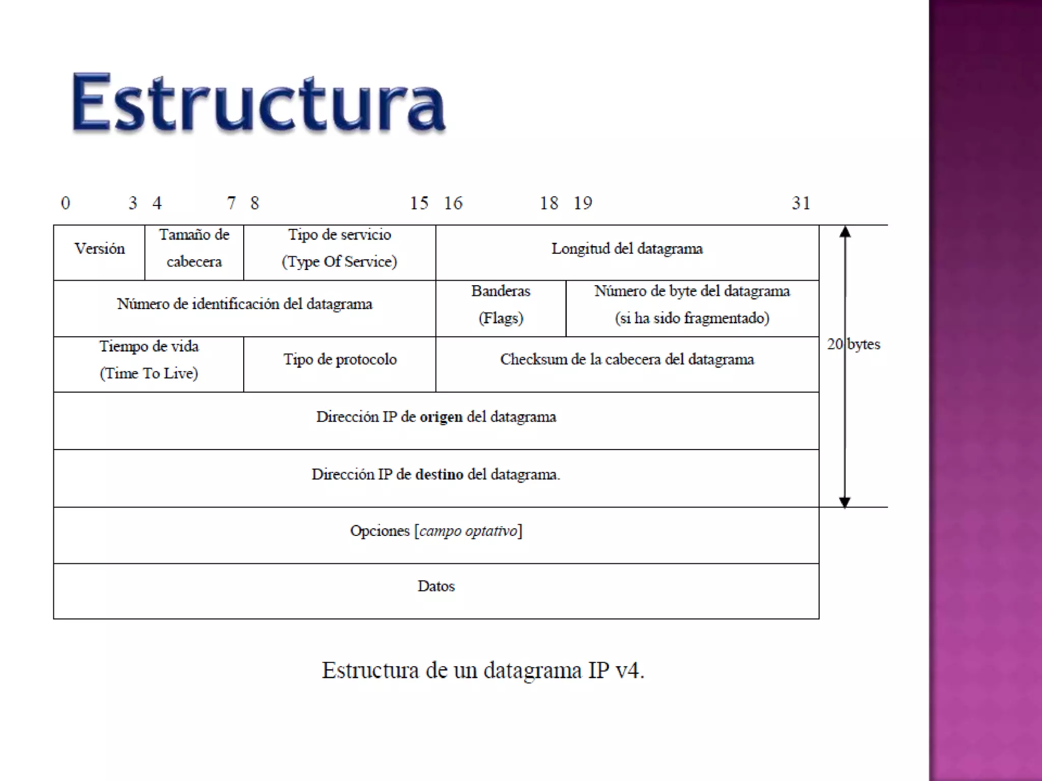 Estructura
