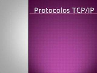 Protocolos TCP/IP 