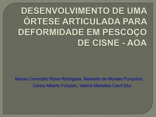 Maysa Corredato Rossi Rodrigues, Benedito de Moraes Purquério,
        Carlos Alberto Fortulan, Valéria Meirelles Carril Elui
 