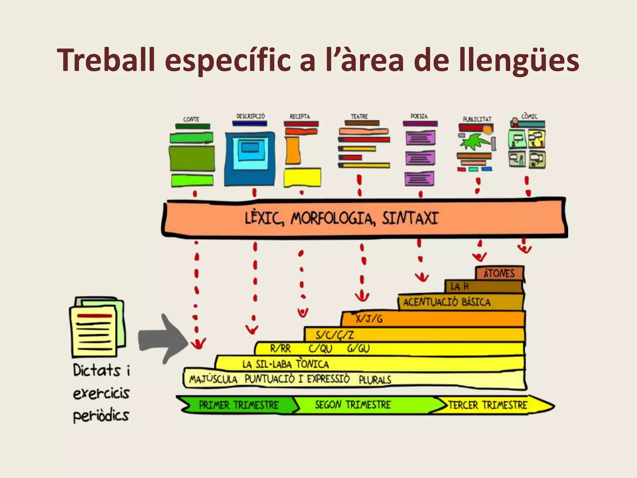 Treball específic a l’àrea de llengües
 