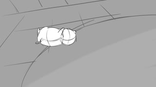 Prototype Storyboard