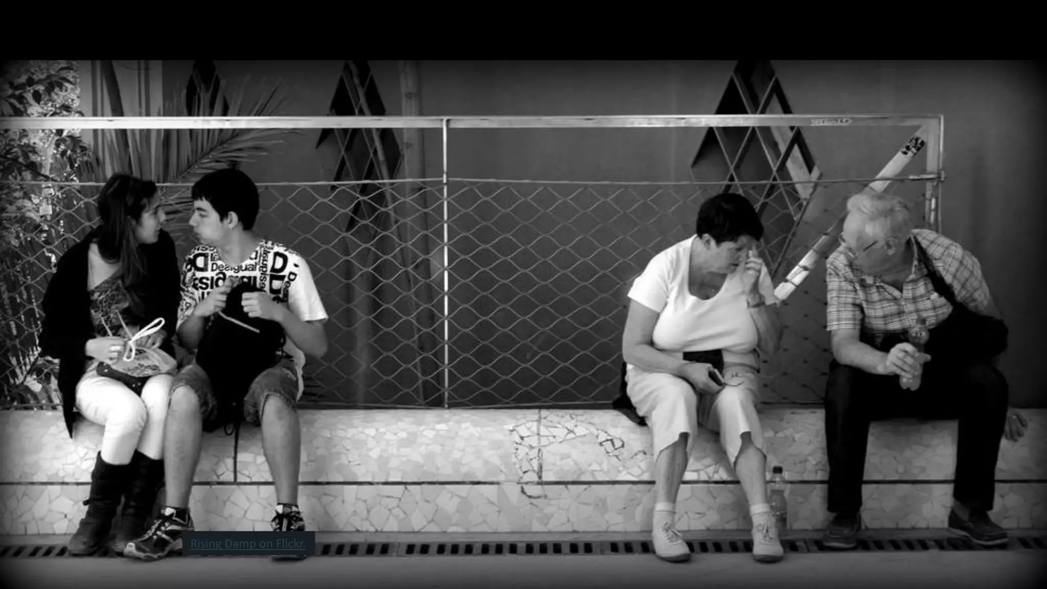 Rising Damp on Flickr.
 