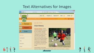 Text Alternatives for Images
 