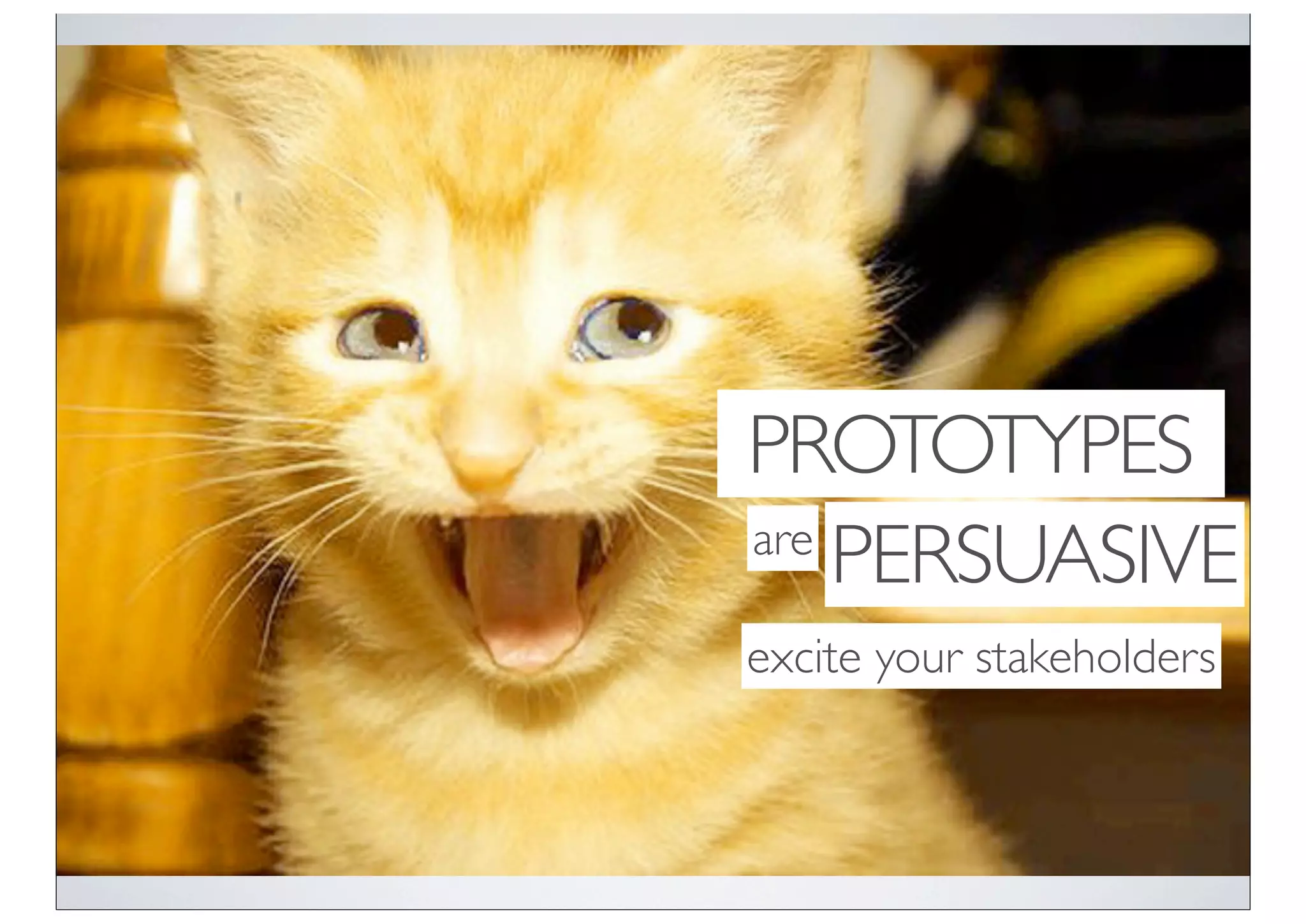 PROTOTYPES
are
    PERSUASIVE
excite your stakeholders
 