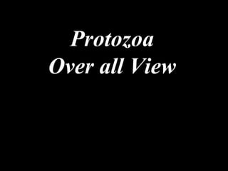 Protozoa Over all View 